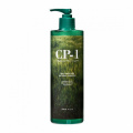 Натуральный увлажняющий шампунь для волос, 500 мл | ESTHETIC HOUSE CP-1 Daily Moisture Natural Shampoo