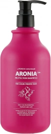 Шампунь для волос АРОНИЯ, 500 мл | Pedison Institute-beaut Aronia Color Protection Shampoo