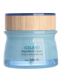 Увлажняющий крем для лица , 60 мл | THE SAEM Iceland Aqua Moist Cream