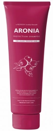 Шампунь для волос АРОНИЯ, 100 мл | Pedison Institute-beaut Aronia Color Protection Shampoo