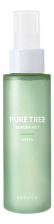 Спрей-мист для лица с чайным деревом, 80 мл | ENOUGH Pure Tree Aurora Mist (Green)