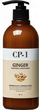 Шампунь для волос с экстрактом имбиря, 500 мл | ESTHETIC HOUSE Ginger Purifying Shampoo