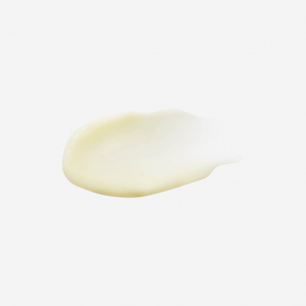 Восстанавливающий крем с экстрактом шиповника, 50 мл | Manyo Factory Rosehip Repair Cream фото 2