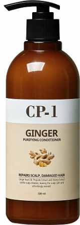 Шампунь для волос с экстрактом имбиря, 500 мл | ESTHETIC HOUSE Ginger Purifying Shampoo фото 1